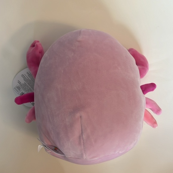 Squishmallows 8" Cailey The Crab with Starfish Stuffed Animal Toy - Picture 3 of 9